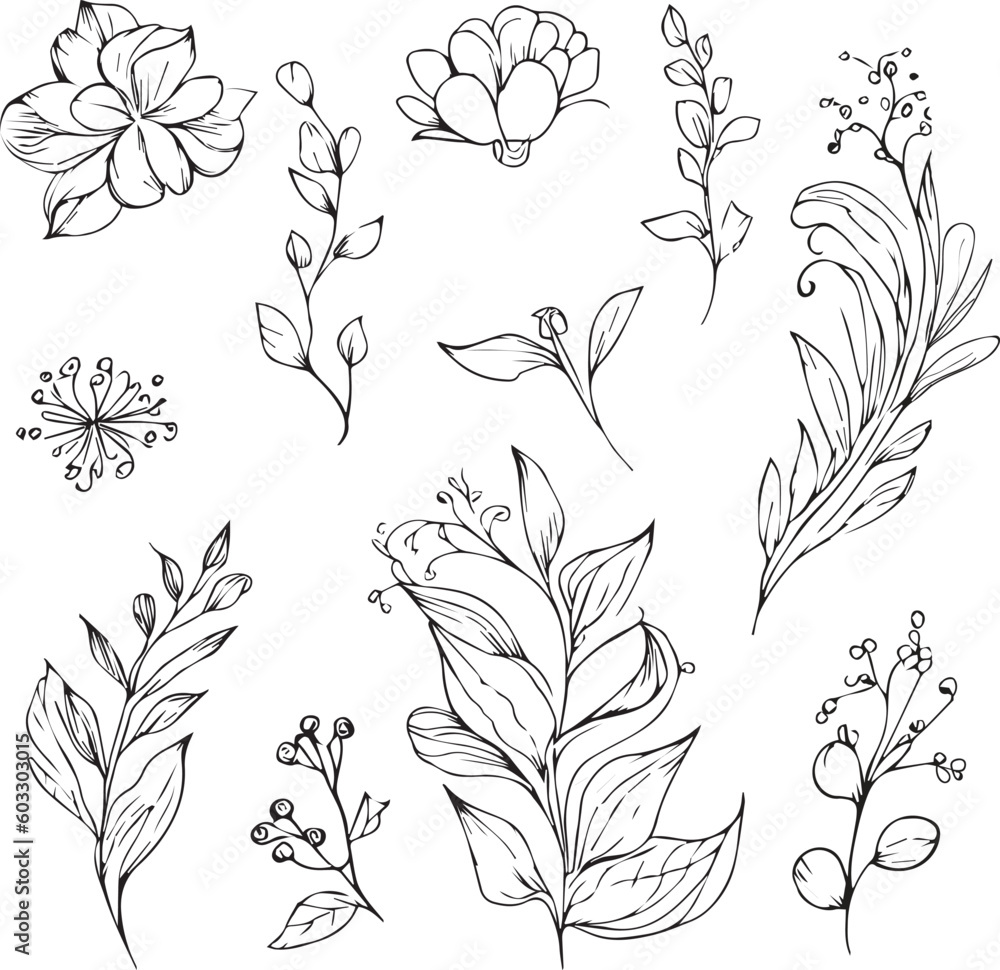 Fototapeta premium Set of vector hand-drawn botanical leaf, botanical line drawing, wildflower botanical line art, leaf's vector art, Pencil realistic wild flower drawing, ink sketch isolated on white background, flowe