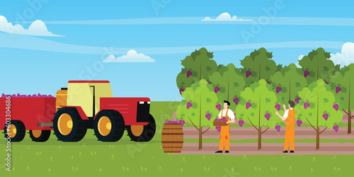People farmer worker picking grapes harvesting berry for sale at farm market 2d vector illustration concept for banner, website, illustration, landing page, flyer, etc.