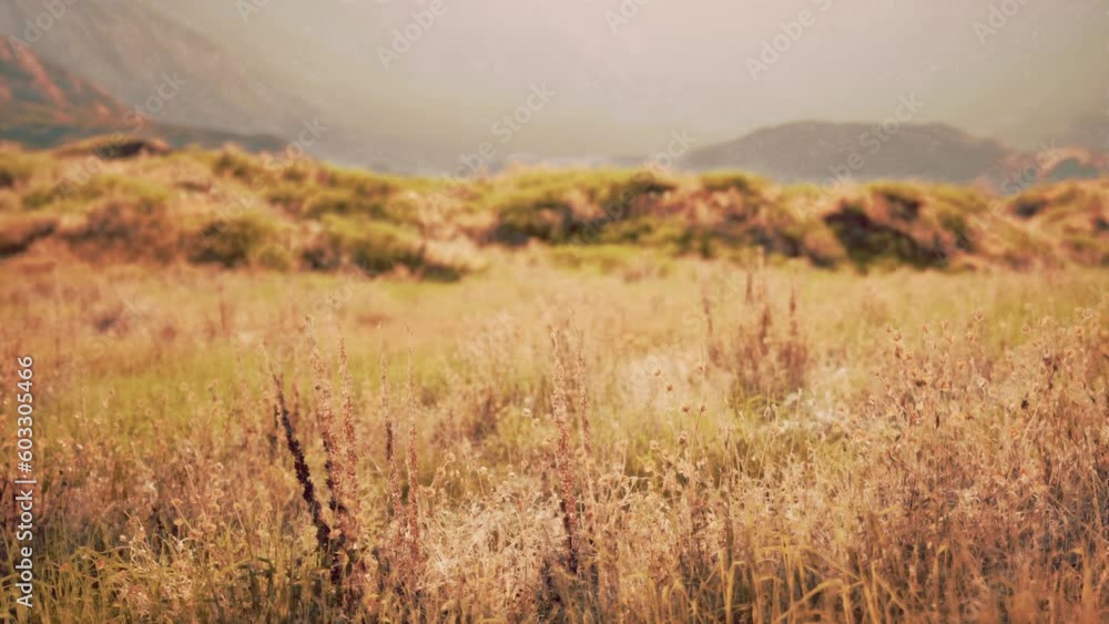 mountainous desert vista with rocky terrain and scarce vegetation mountainous desert vista with rocky terrain and scarce vegetation