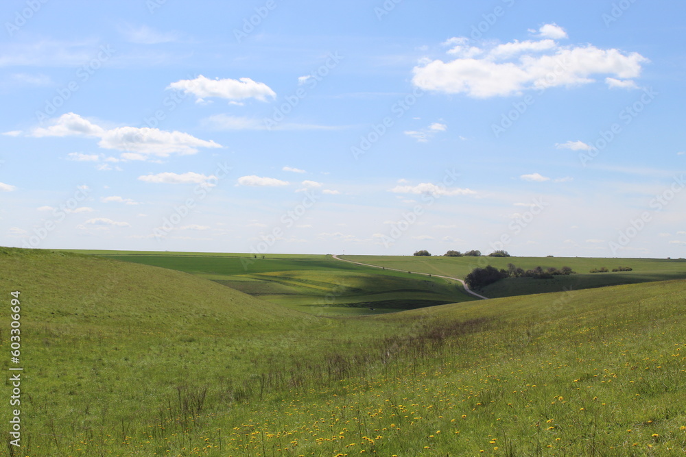 Fototapeta premium field and blue sky