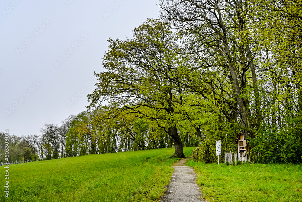 Obraz premium Mariastein, Wanderweg, Kapelle, St. Anna-Kapelle, Kloster, Kloster Mariastein, Wallfahrt, Dorf, Landwirtschaft, Felder, Frühling, Nebel, Morgennebel, Schweiz