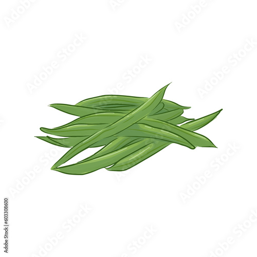 Bunch of Green Beans Vector Illustration Isolated on White Background