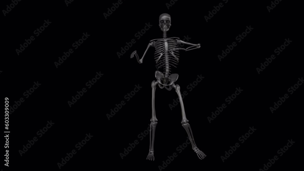 Skeleton dancing. Seamless loop animation on black background Skeleton dancing. Seamless loop animation on black background