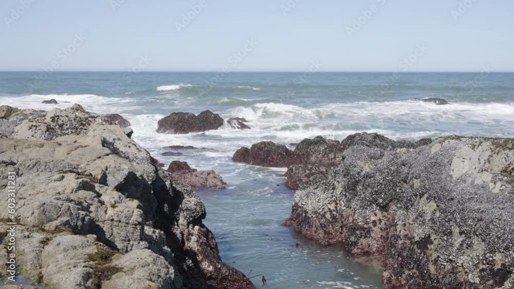 Rocky beach ocean view at Bodega Bay in California. Rocky beach ocean view at Bodega Bay in California.