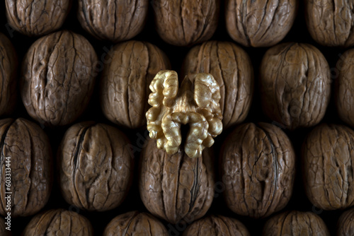 One peeled walnut, on the shelled walnut group