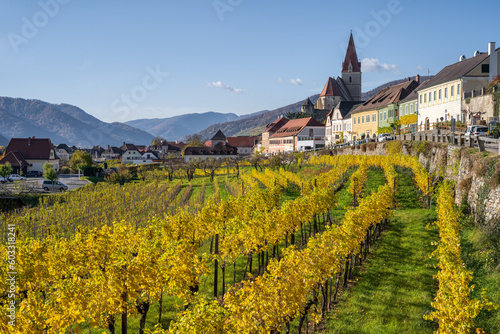 Weißenkirchen in der Wachau 