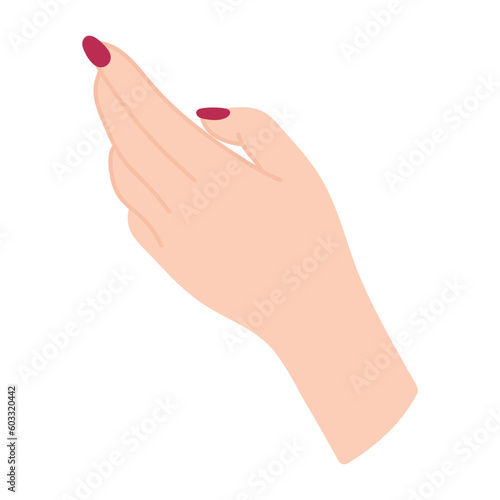 Beautiful female hand reaches up for something. Elegant arm with wrist and fingers of white woman. Palm back perspective. Non-verbal gesture. Delicate illustration in flat style. Simple clipart.