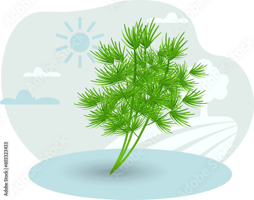 Dill illustration. Green, branch, leaf, plant. Editable vector graphic design.