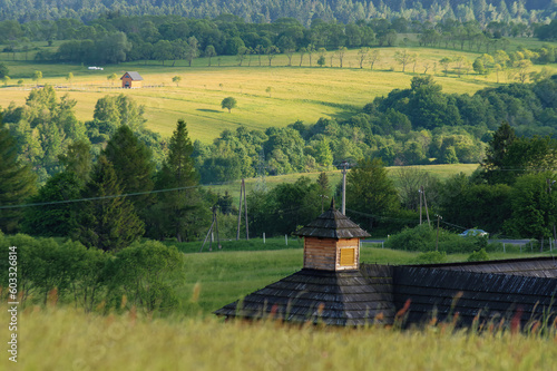 Fototapeta Naklejka Na Ścianę i Meble -  Krajobraz wiosenny w zielonych górach Bieszczady,
Tło naturalne.