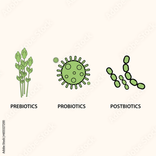 Prebiotics, probiotics, and postbiotics vector illustration.