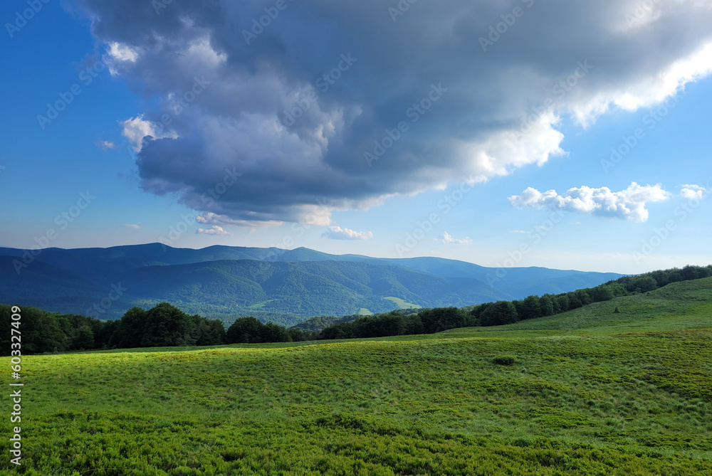 Krajobraz wiosenny w zielonych górach Bieszczady,
Tło naturalne.