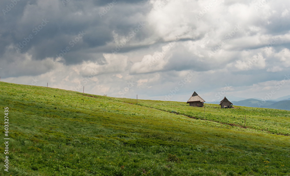 Krajobraz wiosenny w zielonych górach Bieszczady,
Tło naturalne.