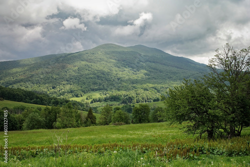 Fototapeta Naklejka Na Ścianę i Meble -  Krajobraz wiosenny w zielonych górach Bieszczady,
Tło naturalne.