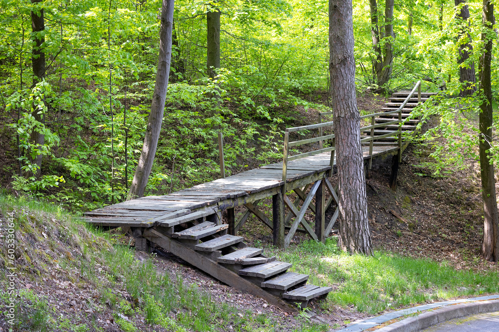 An old wooden bridge over a ravine on a spring day among forest greenery. An old wooden bridge over a ravine on a spring day among forest greenery.
