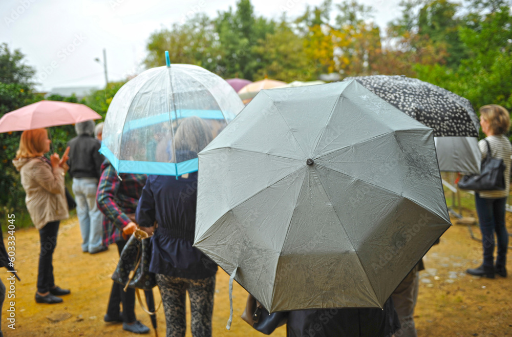 Umbrellas in the rain on a gray autumn day. Group of persons with umbrellas in the rain in a park
