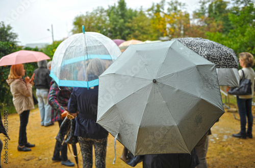 Umbrellas in the rain on a gray autumn day. Group of persons with umbrellas in the rain in a park 