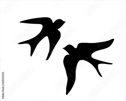 silhouette of a swallov birds