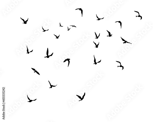 illustration of a flying bird © gltekin
