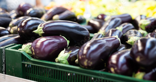 Canvas Print Fresh purple eggplant on market counter