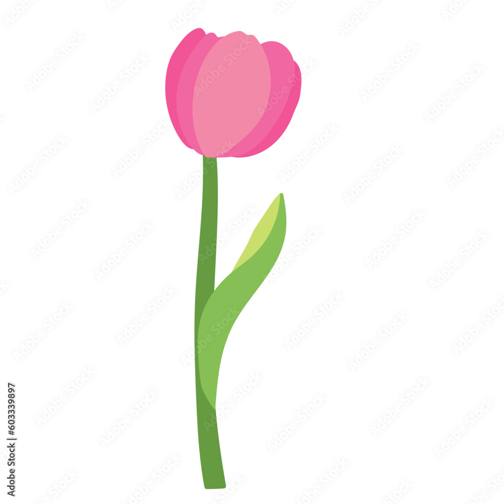 handrawn Flowers_Tulip handrawn Flowers_Tulip