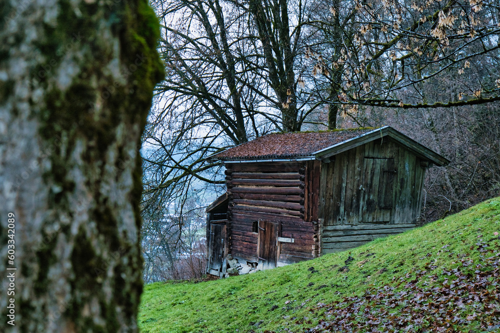 A old tyrolian hay hut in late autumn 