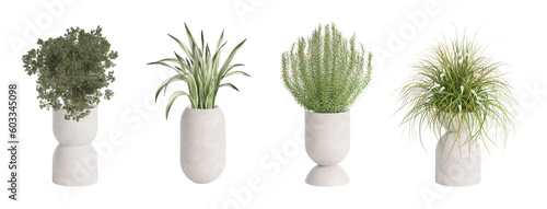 Set of four house plants 2 in the light modern pots isolated on white background. 3d render