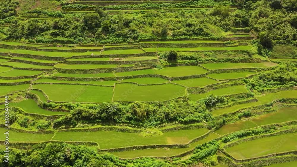 Aerial view of rice terraces and agricultural land in the mountains. Philippines, Luzon. Aerial view of rice terraces and agricultural land in the mountains. Philippines, Luzon.