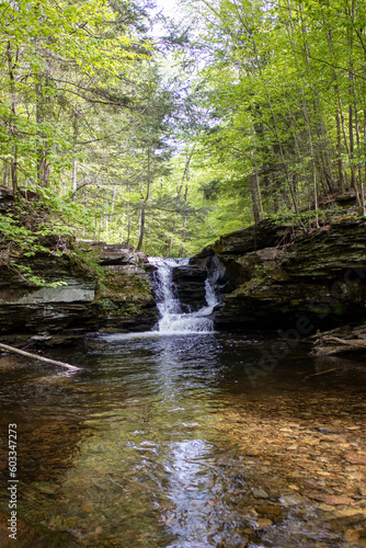 Portrait of Tranquility  A Vertical Shot of a Petite Pennsylvania Waterfall