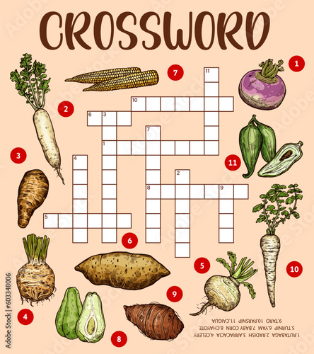 Raw isolated vegetable sketches. Crossword puzzle worksheet. Word quiz, vector riddle with corn, radish and arracacia, rutabaga, caigua and cyclanthera, celery, chayote, yam and taro, turnip, parsnip photo
