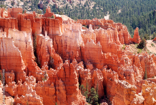 sandstone hoodos in amphitheater in Bryce Canyon National Park, Utah
