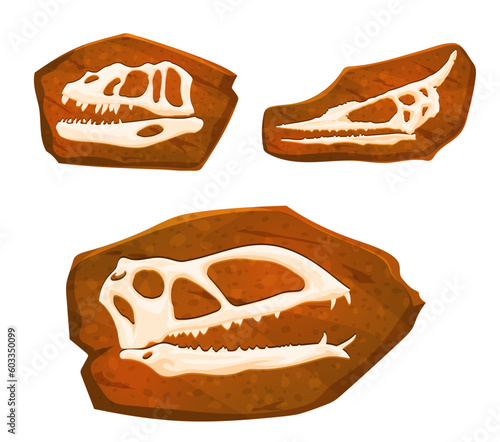 Ancient fossil, dinosaur skulls imprints in stone. Vector Layers of earth with bones. Archaeological and paleontological excavations of dino craniums. Studies of prehistoric creatures and animals