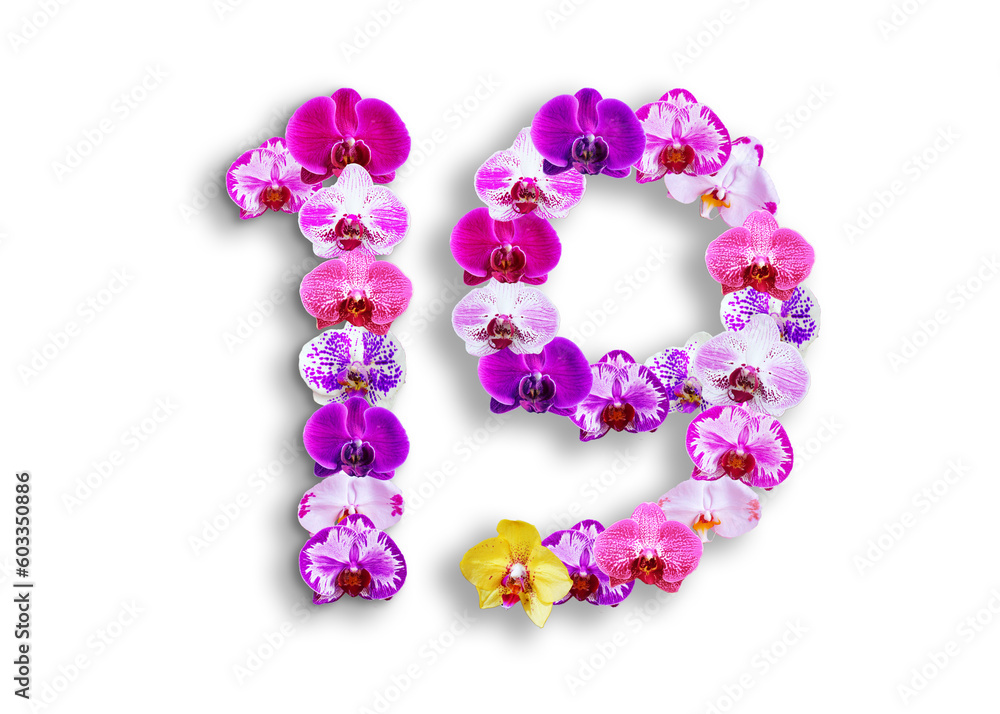 The shape of the number 19 is made of various kinds of orchid flowers. suitable for birthday, anniversary and memorial day templates The shape of the number 19 is made of various kinds of orchid flowers. suitable for birthday, anniversary and memorial day templates