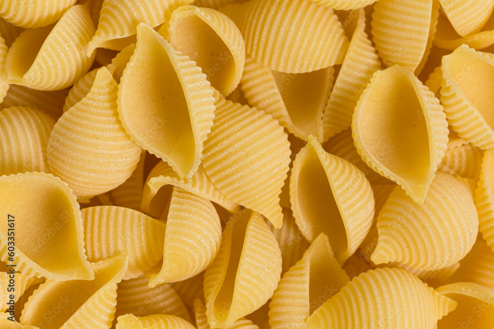 conchiglie pasta shell conchiglie pasta shell