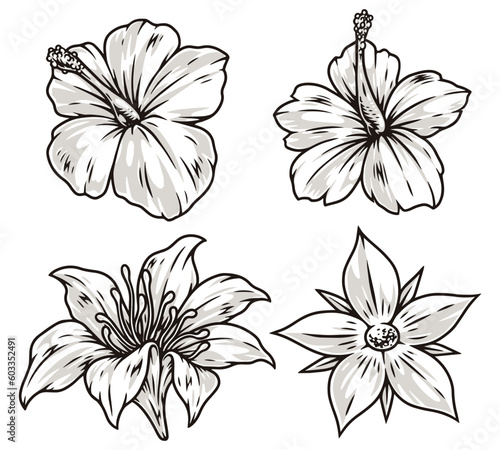 Floral buds monochrome set element