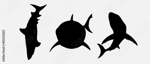isolated black silhouette of a shark, vector collection