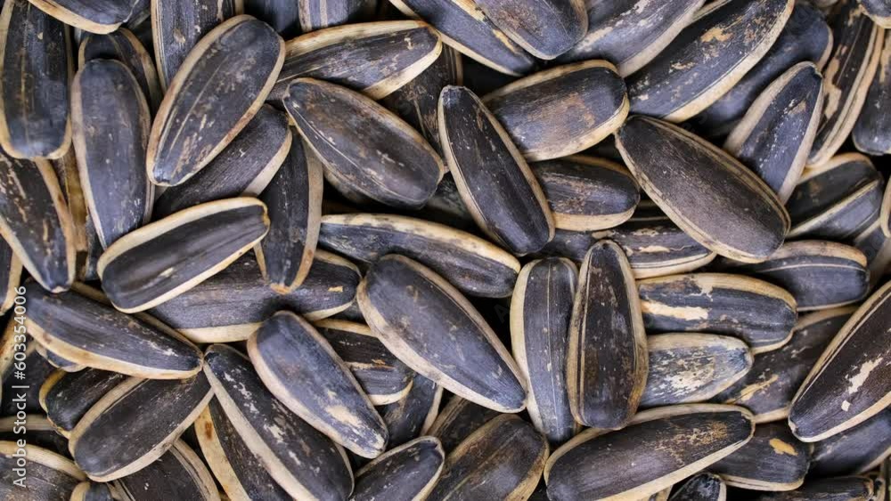 Sunflower seeds close-up slowly rotate. Sunflower seeds after harvest. Heap of dried unshelled sunflower seeds, a healthy source of vitamins in vegan food. Sunflower seeds close-up slowly rotate. Sunflower seeds after harvest. Heap of dried unshelled sunflower seeds, a healthy source of vitamins in vegan food.