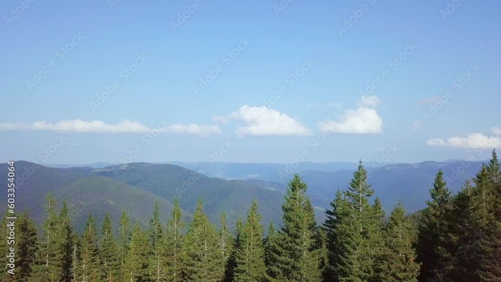 Summer Wooded Carpathian Mountains. Aerial View Summer Wooded Carpathian Mountains. Aerial View