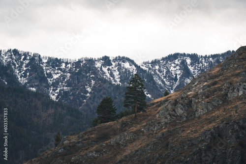 landscape in the mountains © la_toja