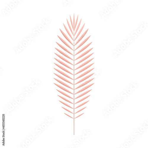 Pink tropical fern botanical elegant floristic decor element premium design 3d icon realistic vector