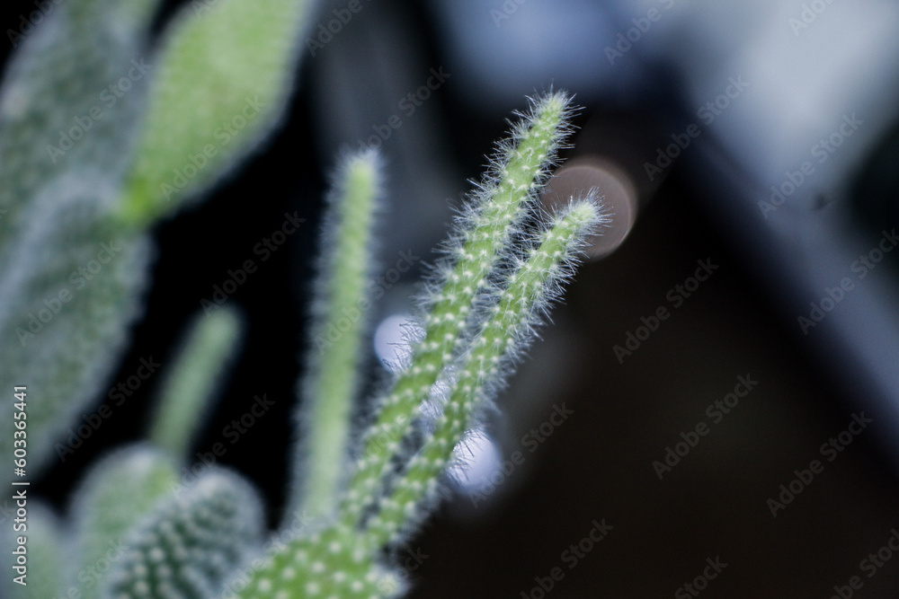 Naklejka premium Taiwan