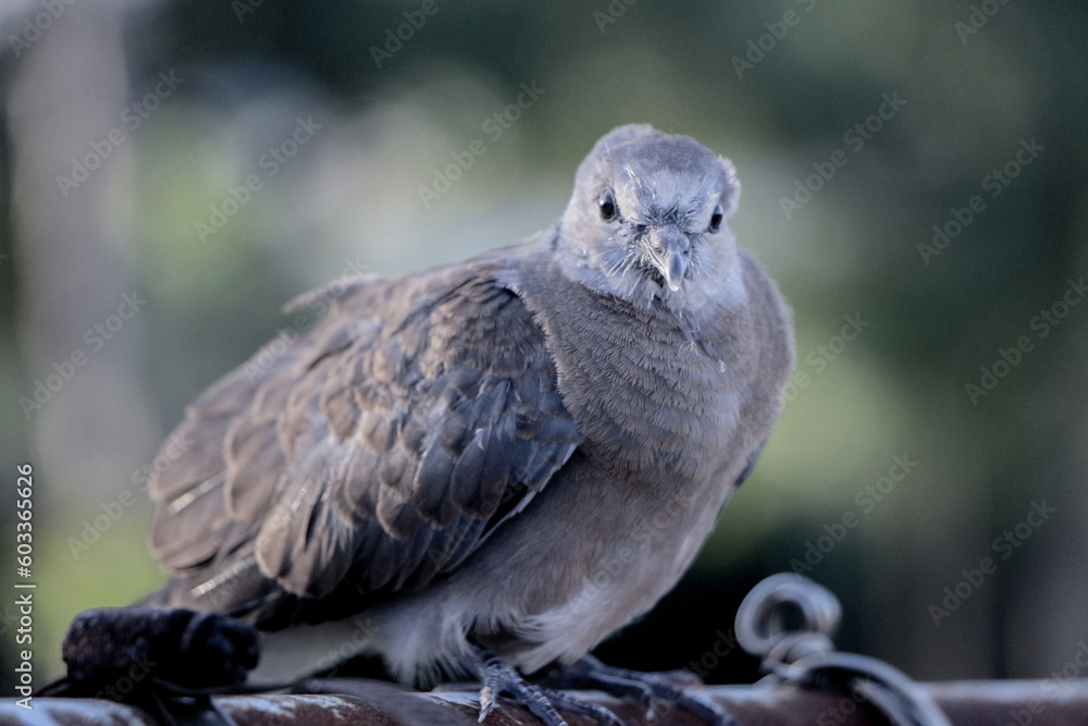 Fototapeta premium Taiwan