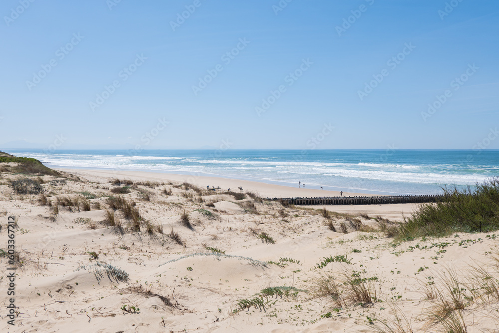 Picturesque view of sandy beach and blue sea Picturesque view of sandy beach and blue sea