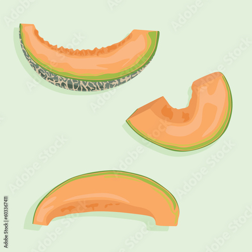 Slices of juicy melon at different angles with peel. Summer fruit icons in vector.