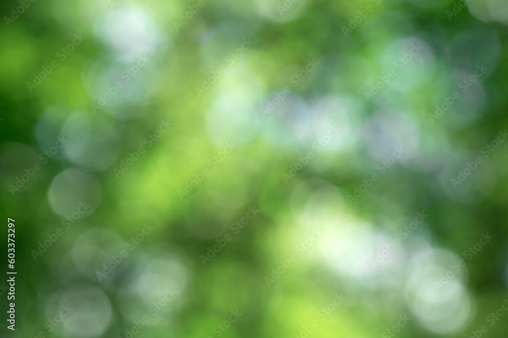 Green bokeh background and sunlight