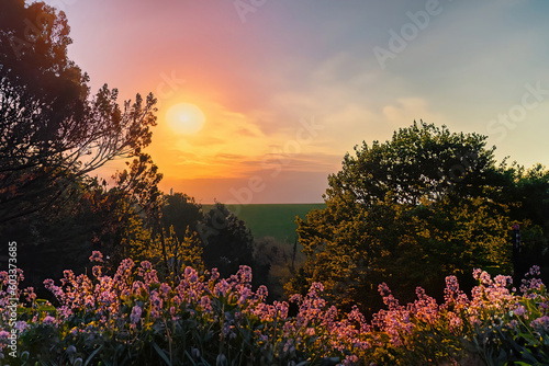 Scenic View Of Flowering Plants And Trees Against Sky During Sunset