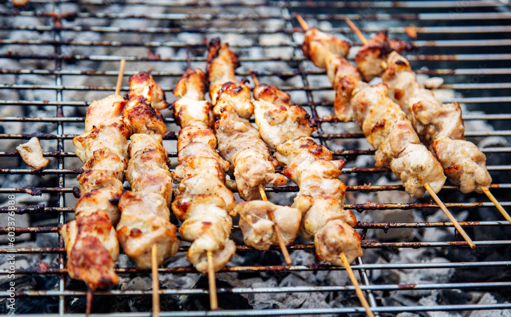 Grilled chicken shish kebab on the barbecue grill. close-up