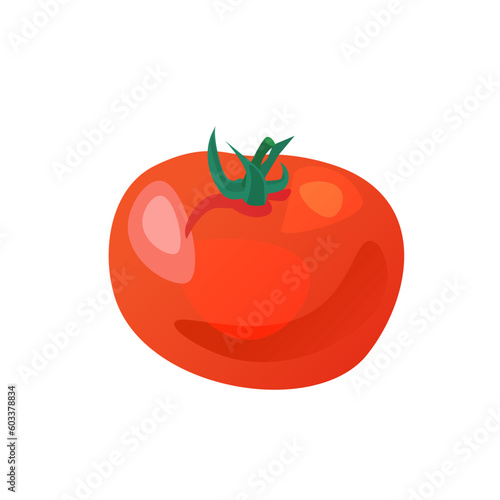 fresh tomato. vector illustration on a white background. suitable for the design of menus, brochures, flyers of restaurants and cafes