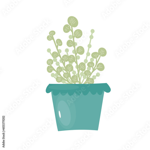 Potted plant for home and office. A houseplant with many round leaves. Ceramic flower pot with decor. Vector icon, cartoon, isolated