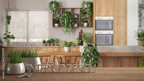 Wooden table, desk or shelf with potted grass plant, house keys and 3D letters making the words interior design, over modern dining room and kitchen, urban jungle interior design