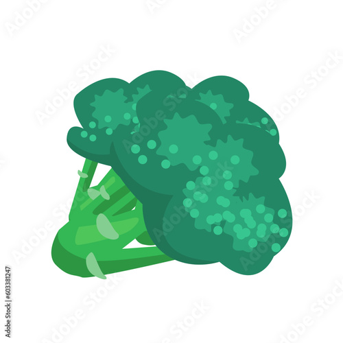 Vector illustration of broccoli Isolated On A White Background. Healthy organic food, fresh green vegetable in cartoon flat style.